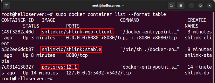 Терминал с запущенными контейнерами Docker для поддержки Shlink.