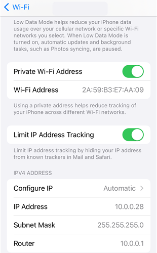 Локальный IP, псевдо‑MAC и IP роутера на iOS.