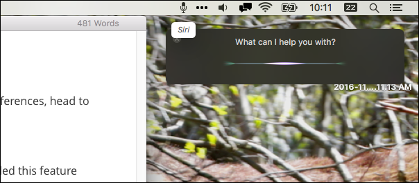 Скриншот: распознание слова и окно Siri на macOS
