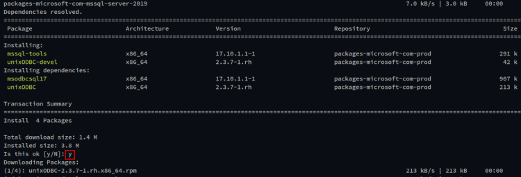 Скриншот: установка mssql-tools и принятие лицензий