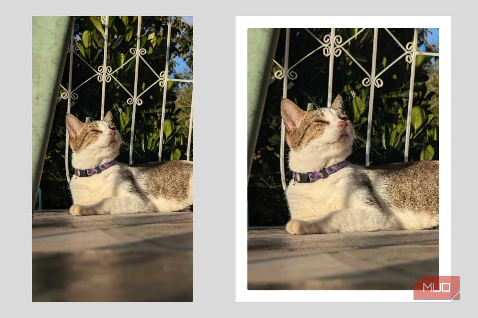 Обрезка и добавление полароидной рамки