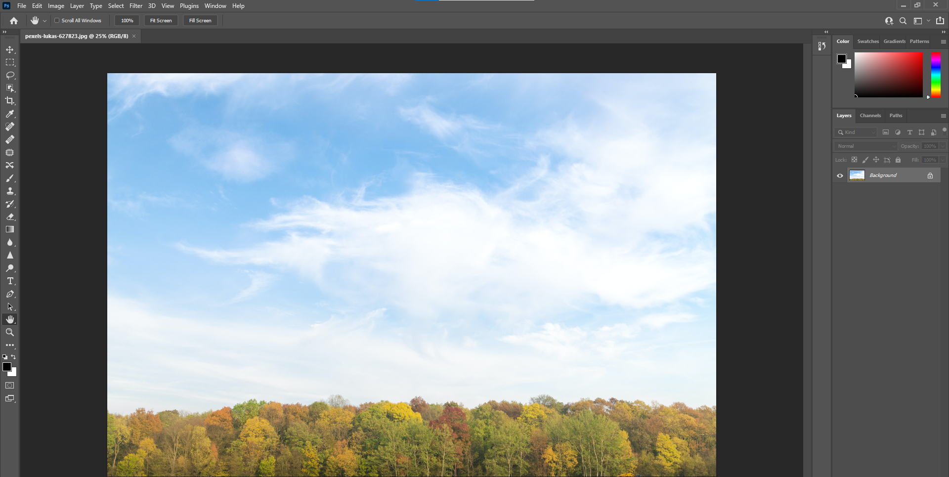 Фотография с равномерным освещением без выраженного направления света