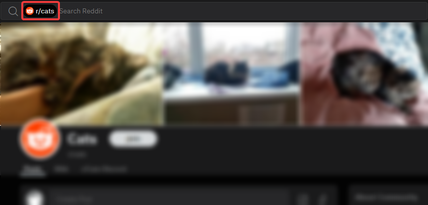 Поиск на новом Reddit с названием сабреддита в строке поиска