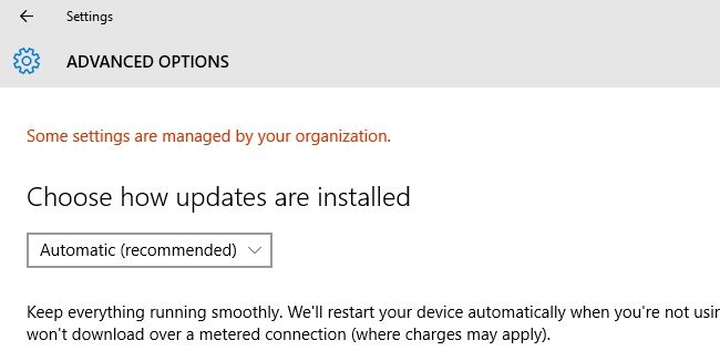 Скриншот: сообщение о том, что некоторые параметры управляются вашей организацией