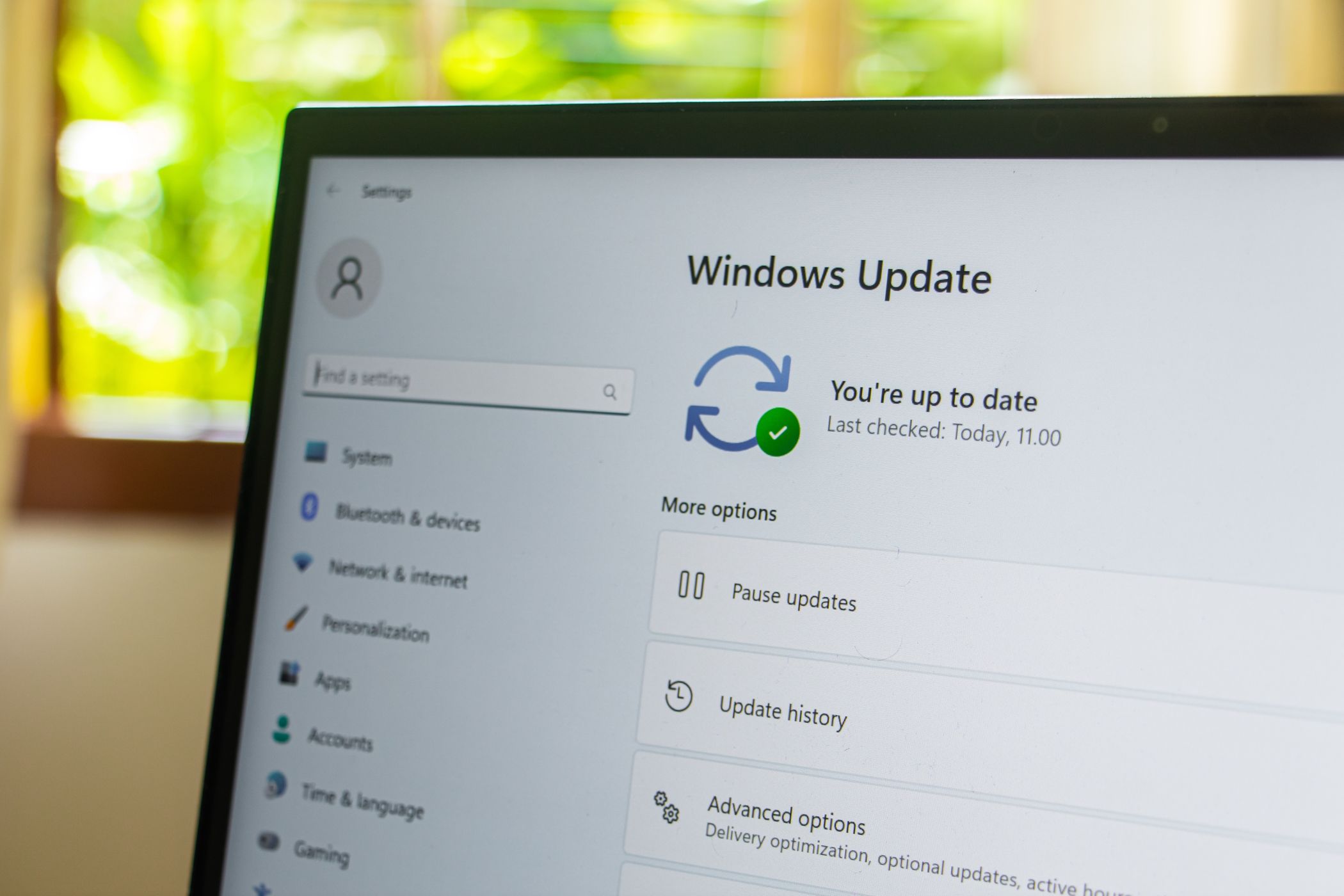 Как установить Windows 11 24H2 через Insider