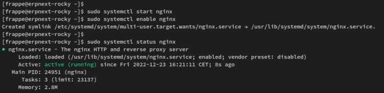 Запуск Nginx