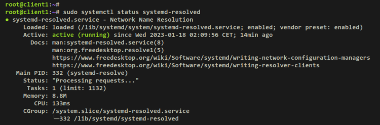 Проверка systemd-resolved