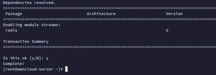Активация модуля Redis 6 — вывод терминала
