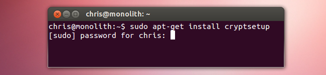 Скриншот установки пакета cryptsetup в терминале