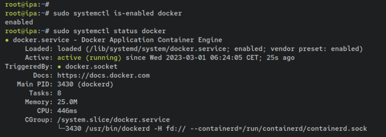Проверка Docker
