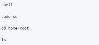 Экран Crosh с выводом каталогов и имен файлов конфигураций сети