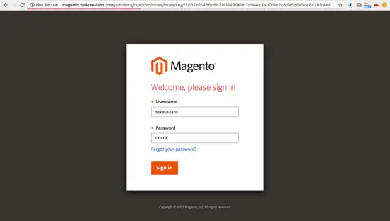Страница входа в админку Magento
