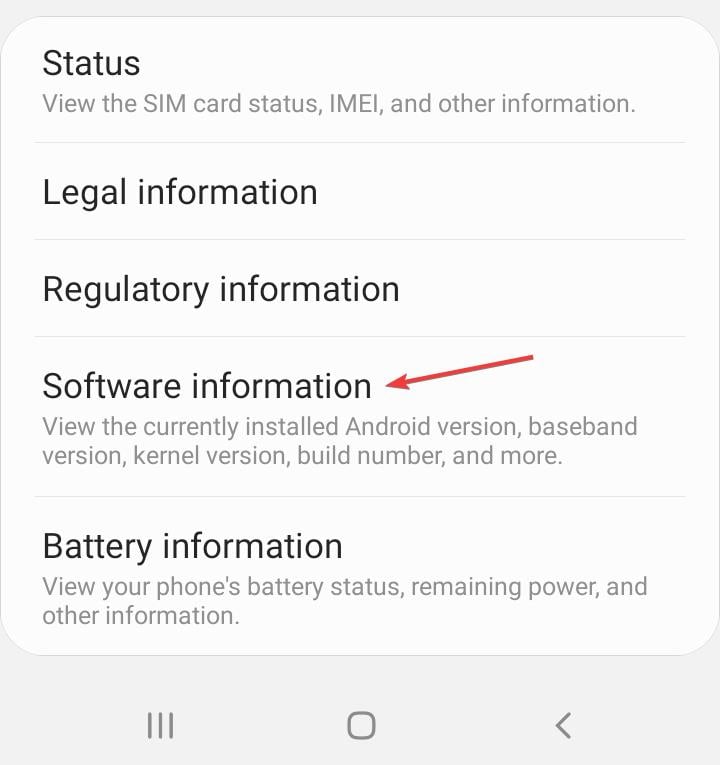 Раздел «Сведения о ПО»