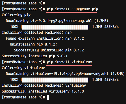 Обновление pip и установка virtualenv