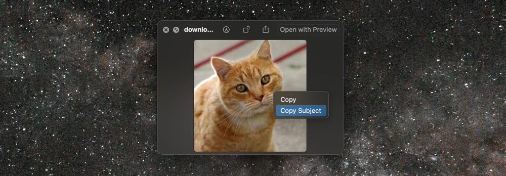 Копирование объекта изображения в буфер обмена Mac.