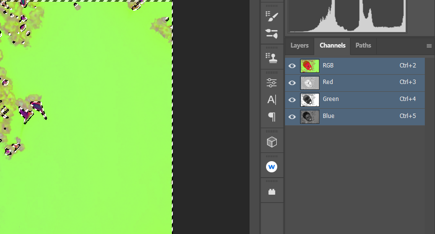Выделите RGB + Ctrl в каналах