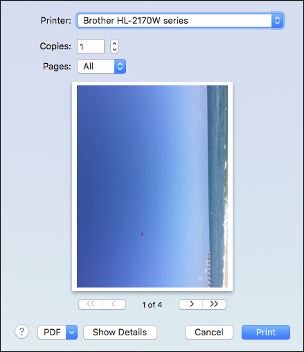 Параметры печати: показать подробности и ориентация страницы