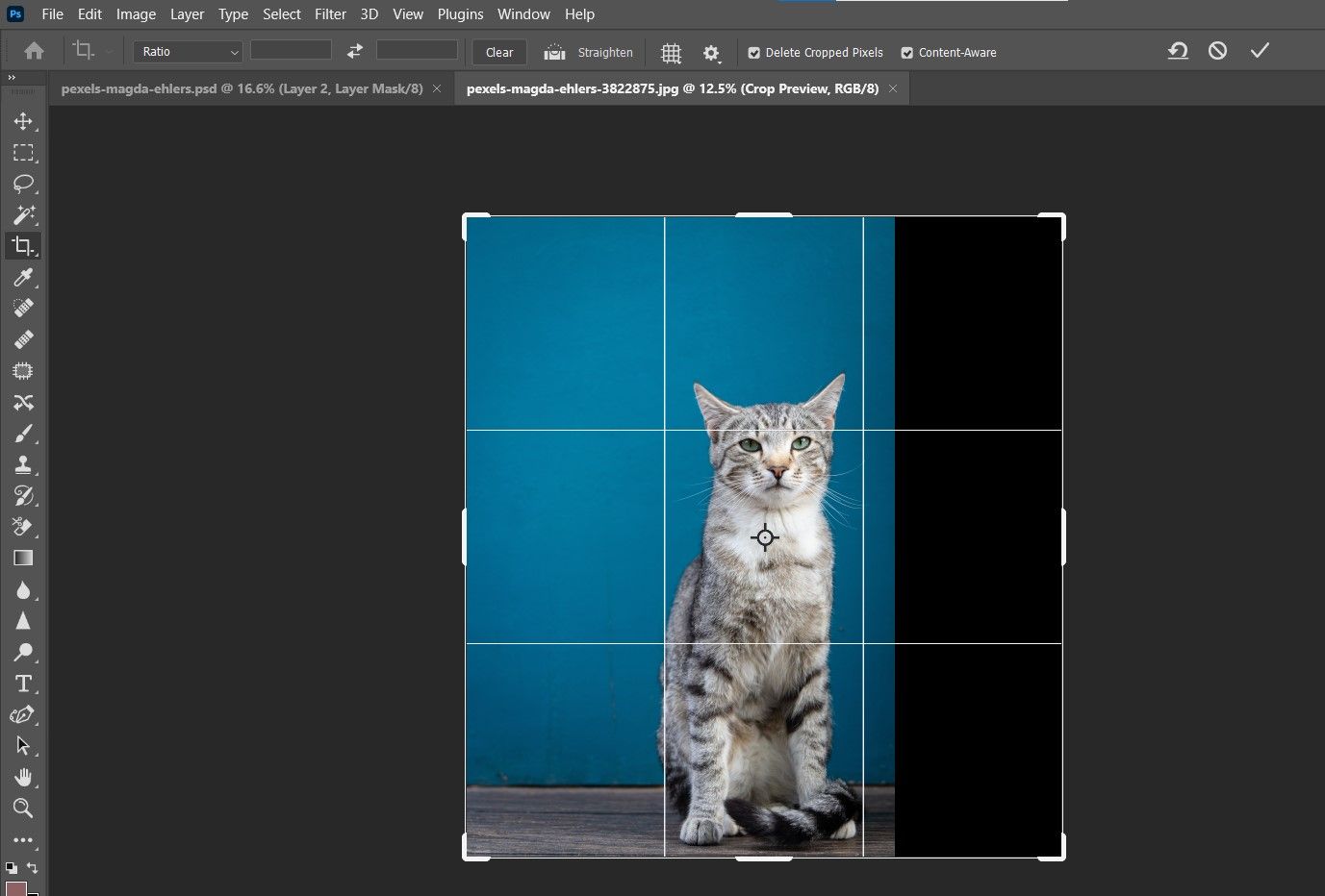 Центрирование кота в рамке