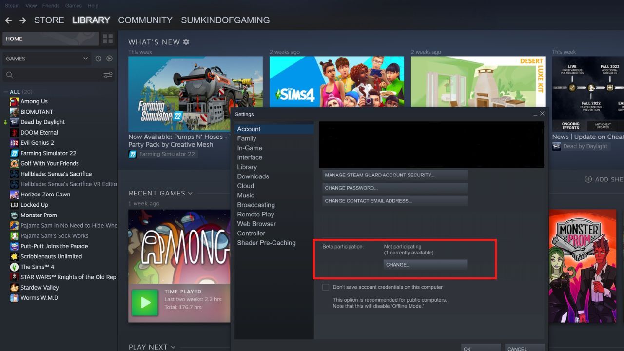 Окно настроек Steam с выделенной опцией бета‑участия