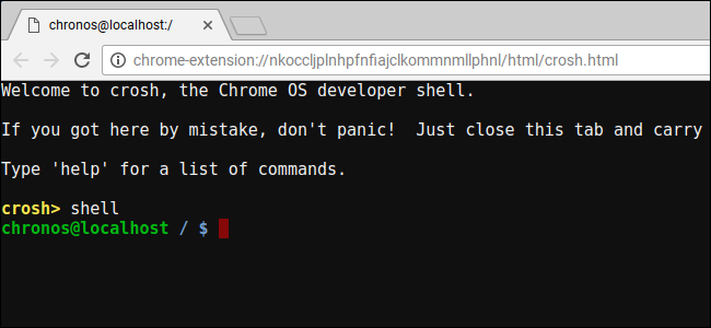 Открытие терминала и переход в shell