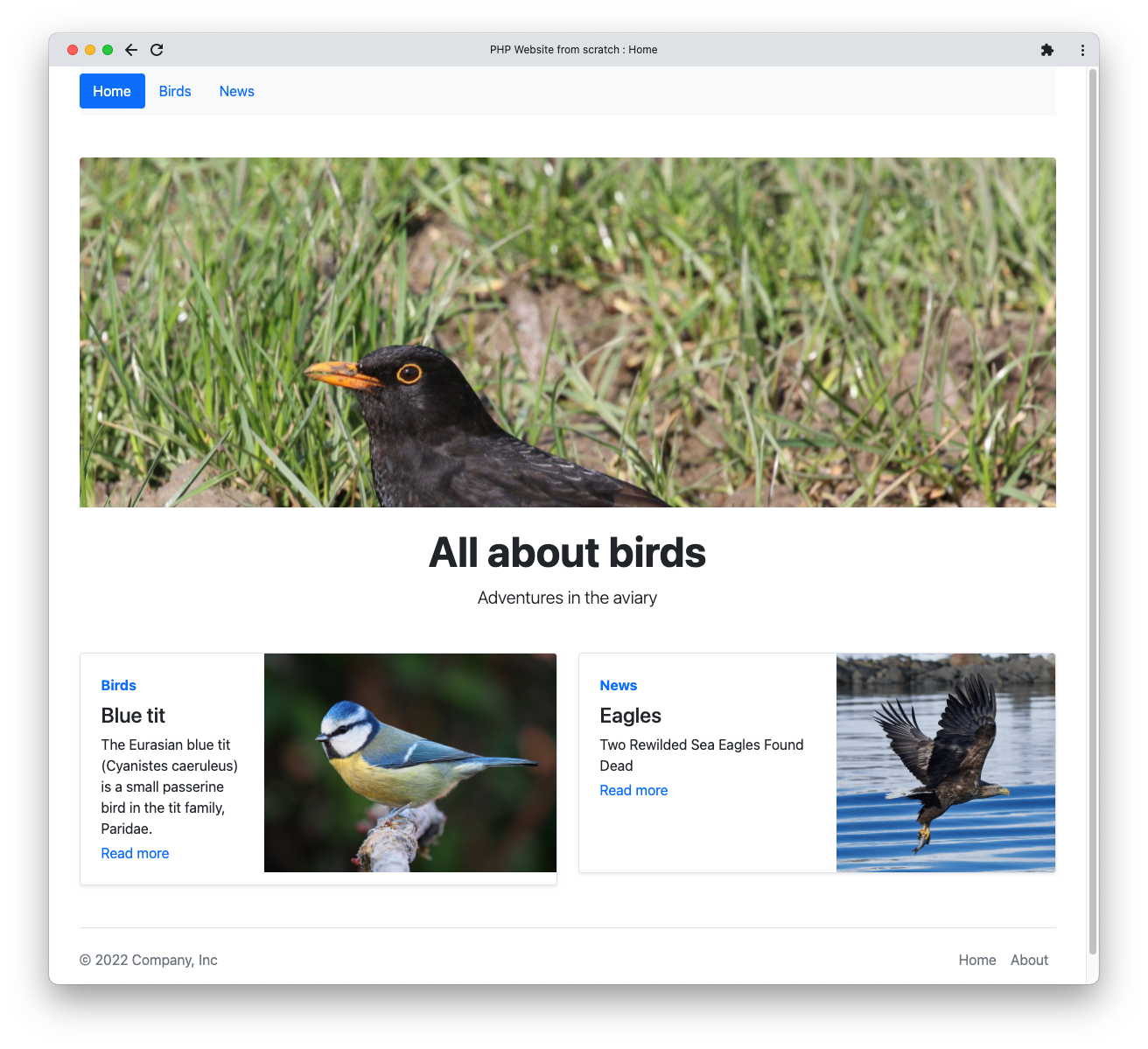 Главная страница примера сайта о птицах с простым макетом