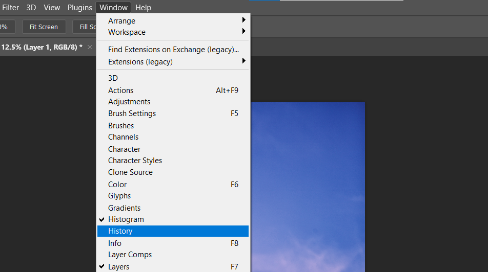 Открытие окна History в меню Window