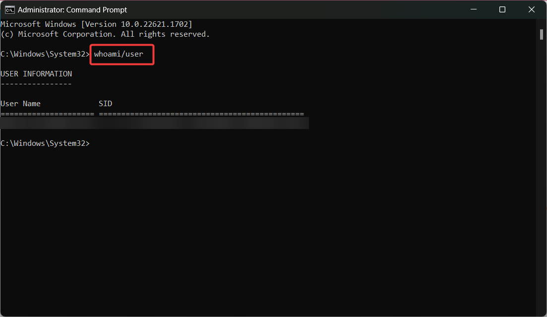 Вывод whoami /user с SID пользователя