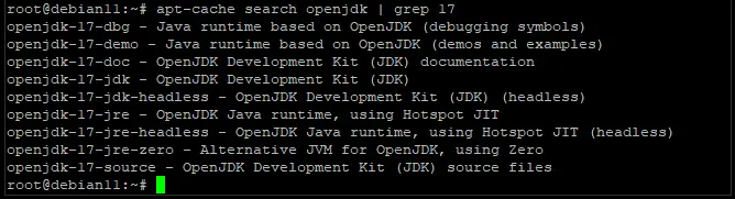 Результат поиска пакетов openjdk, отфильтрованных по 17