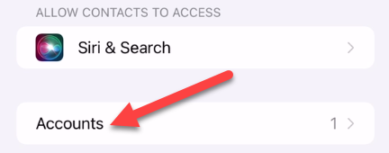 Выберите «Учётные записи».