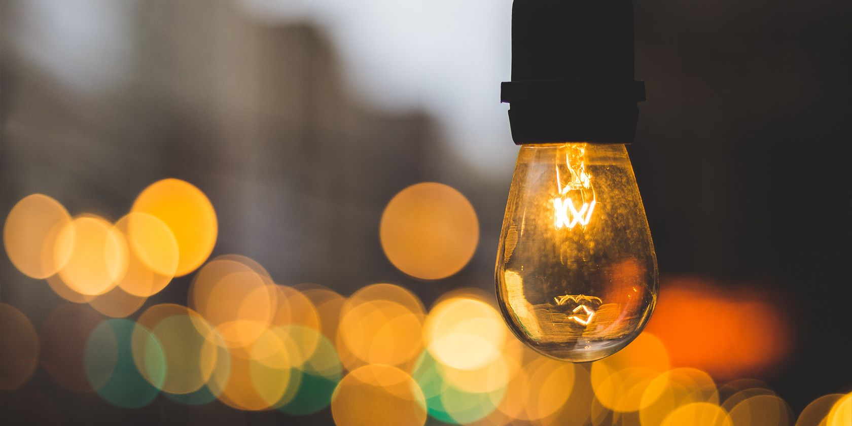photo of a bulb with a shallow depth of field