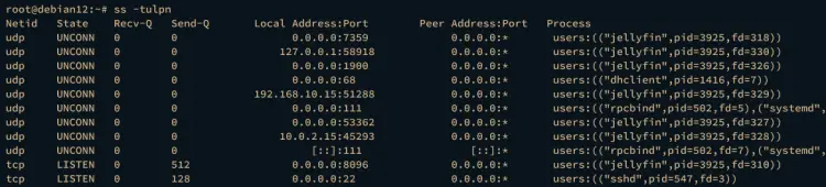 Проверка порта Jellyfin