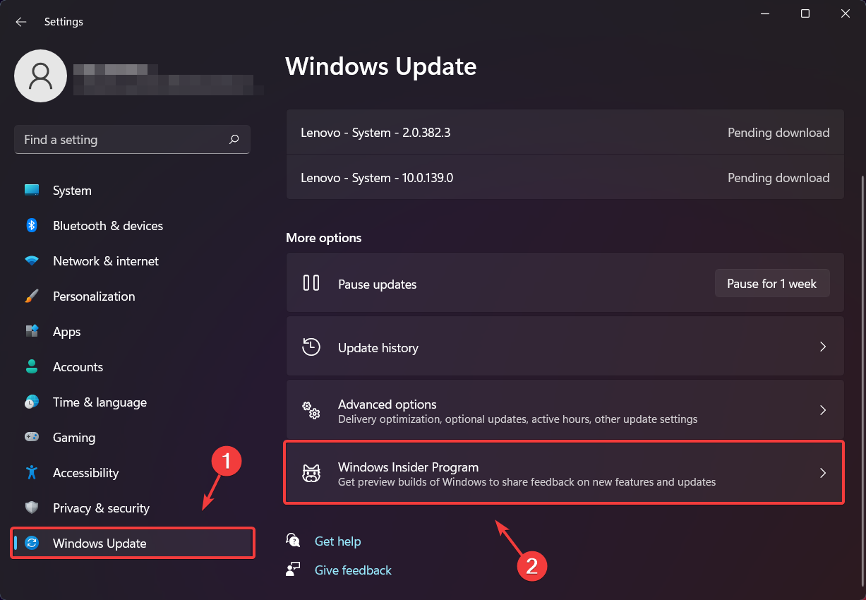 Scheda Programma Windows Insider