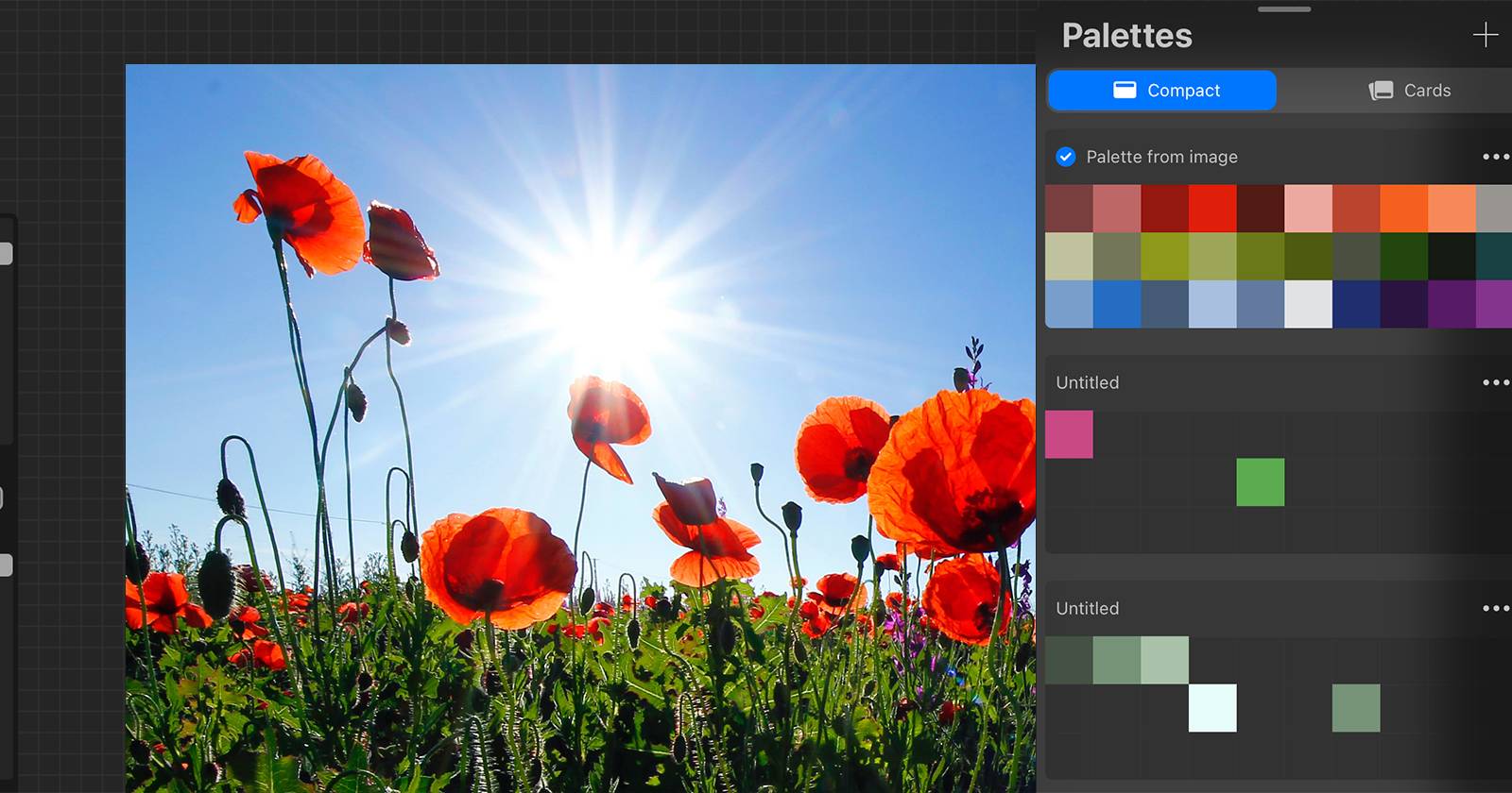 Холст Procreate с фотографией макового поля и палитрой красных оттенков.