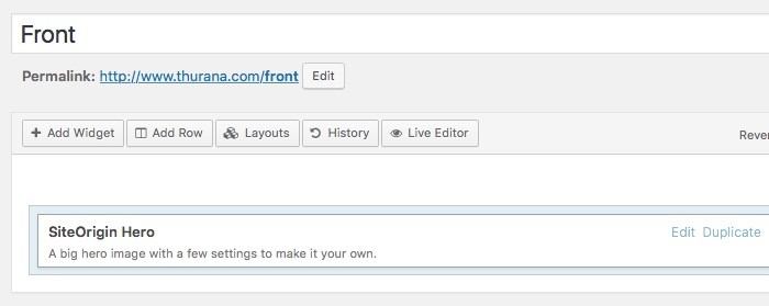 Использование SiteOrigin Page Builder для вставки шорткода Typed Js