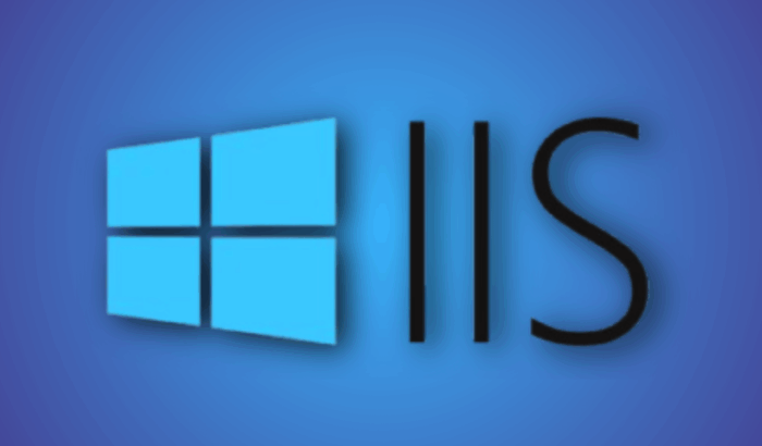 Installare IIS su Windows Server — Guida rapida