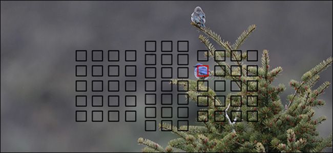 Фокусировка с широкой диафрагмой — практическое руководство