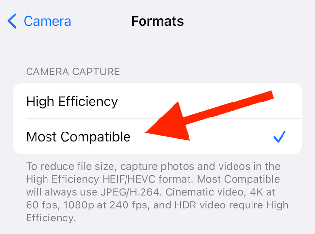 Выберите опцию