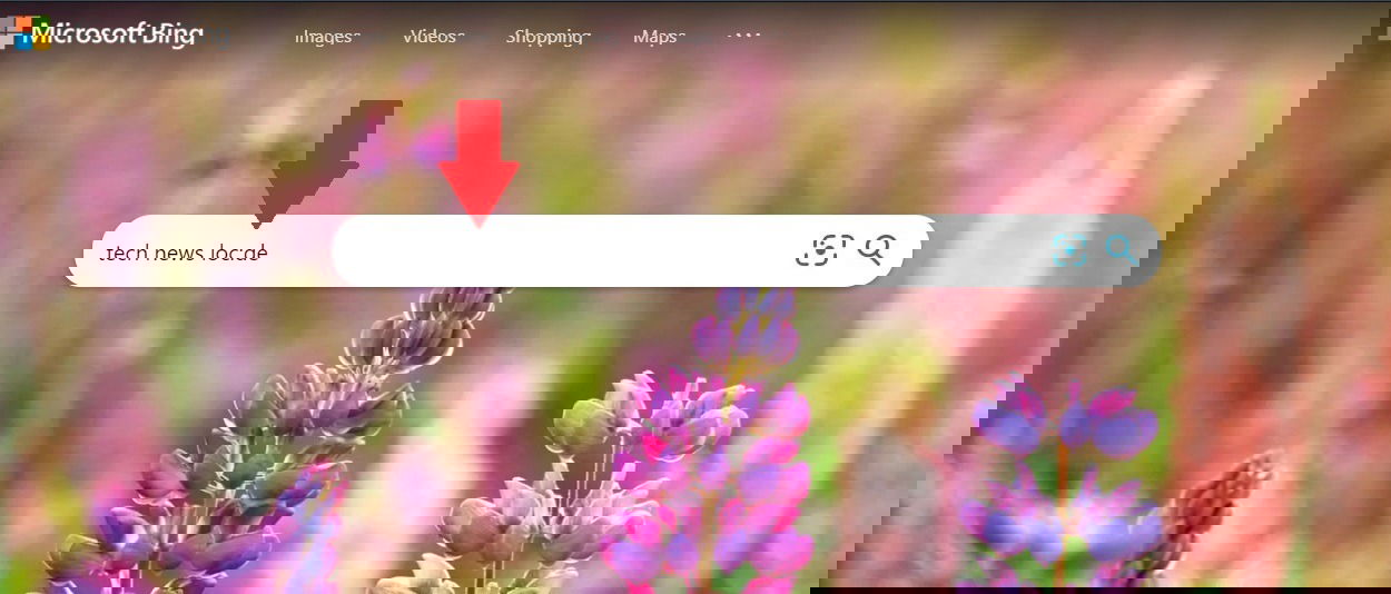 Пример использования loc: кода в Bing