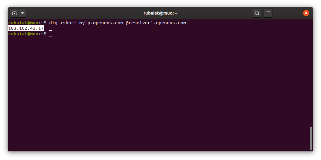 Скриншот: вывод dig с публичным IP