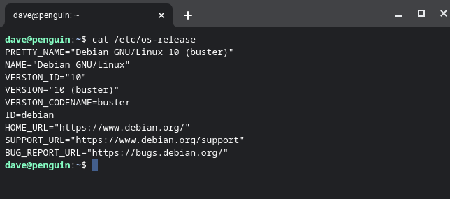 Вывод команды cat /etc/os-release в терминале Linux подсистемы