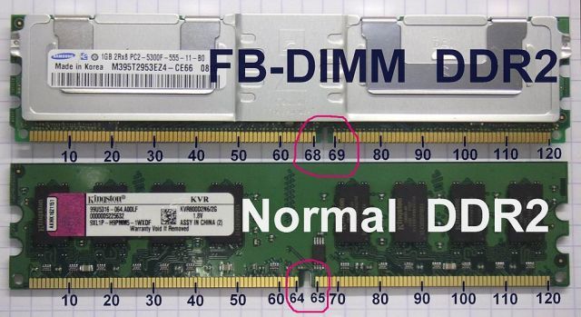сравнение модулей памяти: обычный DDR2 и серверный FB-DIMM, видно различие контактов