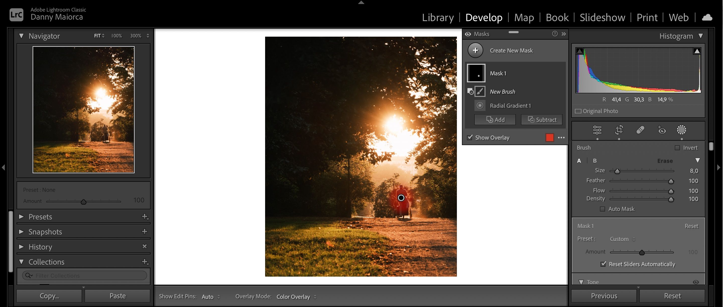 Переместите кисть по разным секциям в Lightroom