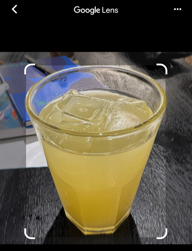 Google Lens отмечает важные области на загруженных изображениях белыми маркерами