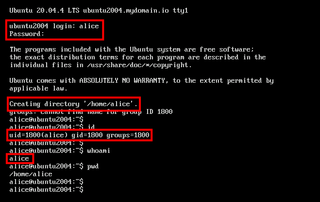 Вход в систему под пользователем alice из OpenLDAP