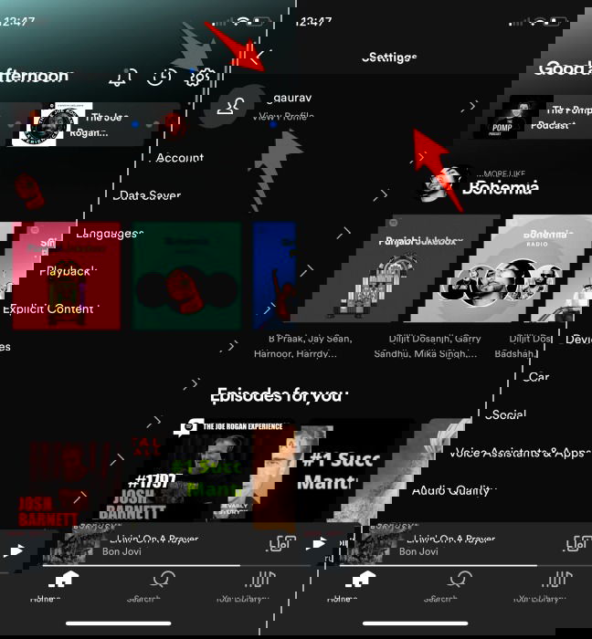 Настройки профиля в мобильном приложении Spotify