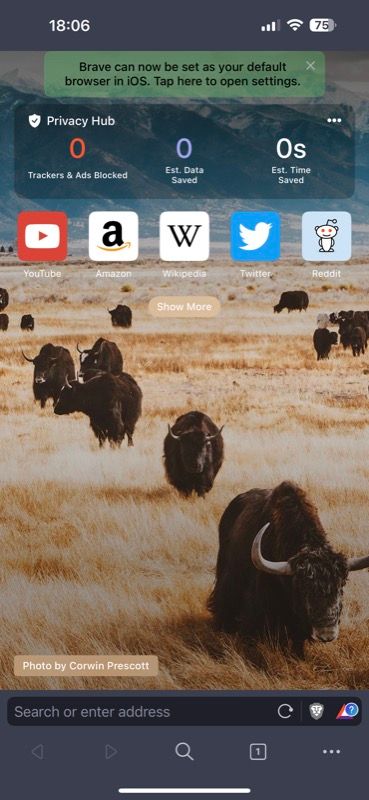 Домашний экран Brave на iPhone