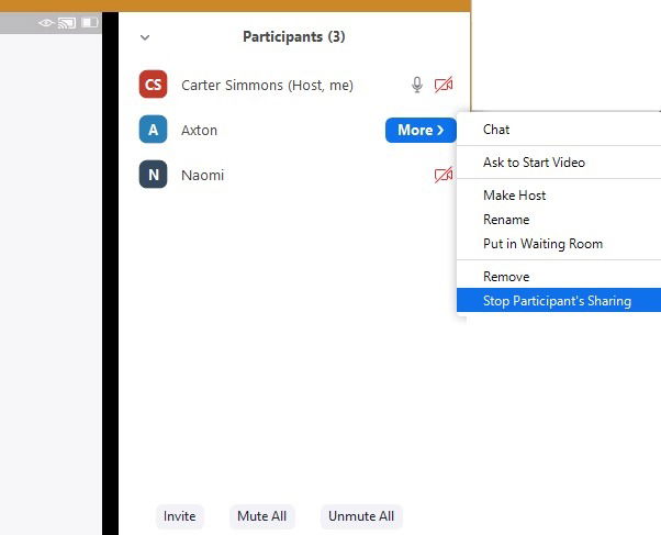 Presenter Mode Zoom Stop Sharing
