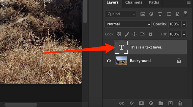 Слой скопирован в целевой документ Photoshop