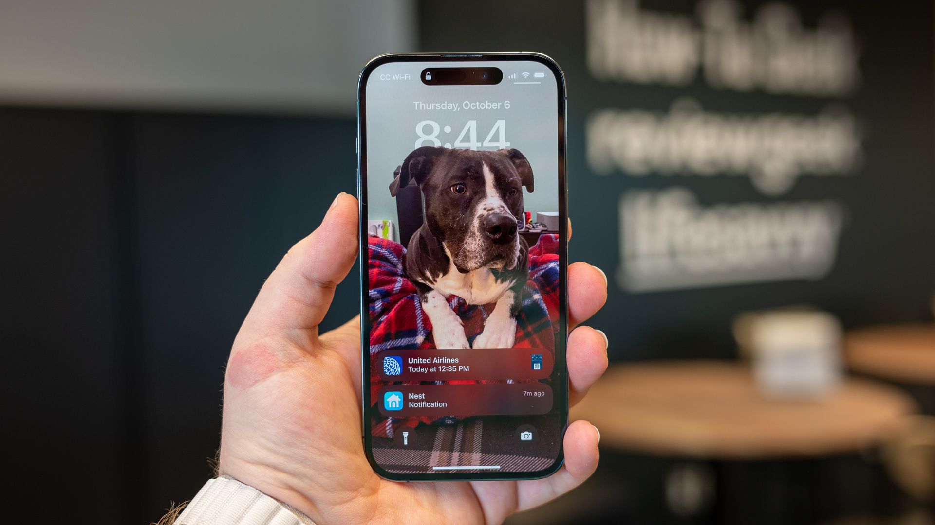 Экран iPhone 14 Pro с уведомлениями.