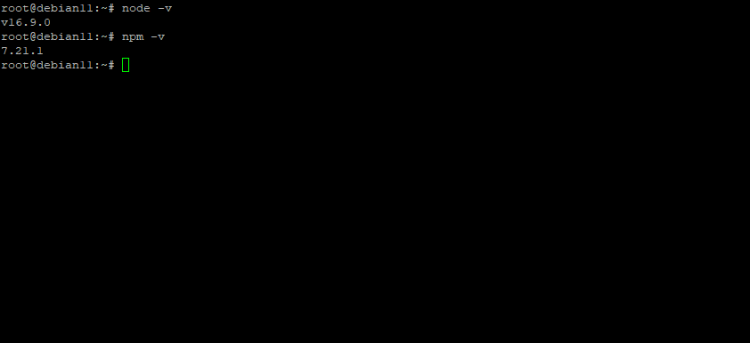 Результаты проверки версии Node.js и NPM
